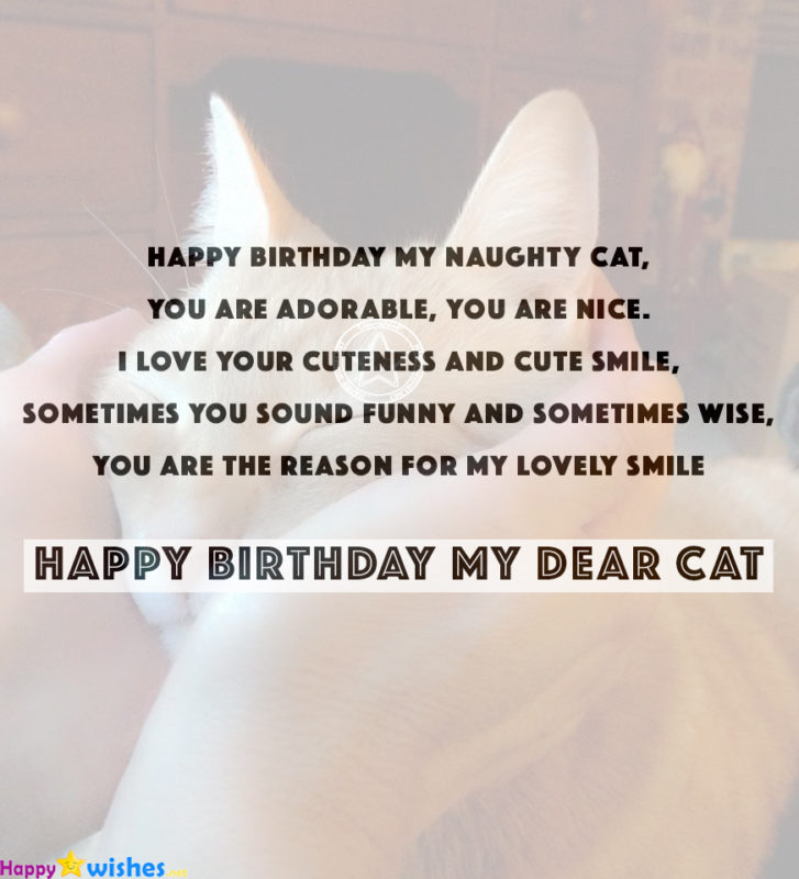 Happy Birthday My Dear Cat