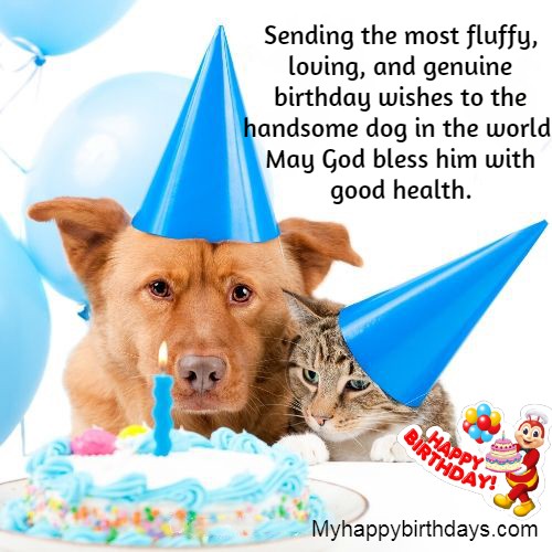 Birthday Wishes For Dog 7