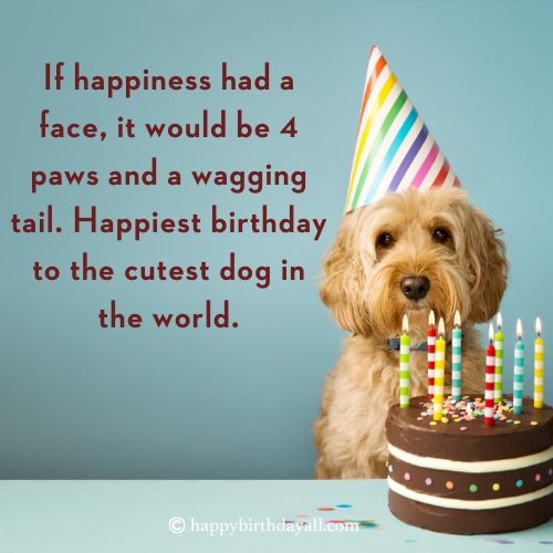 Birthday Wishes For Dog
