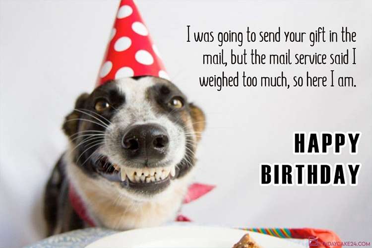 Dog Happy Birthday Meme Funny Card Ad7ece9c6
