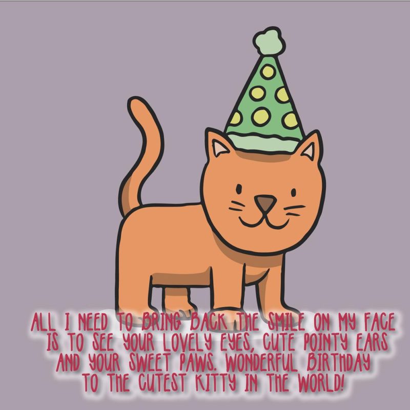 Happy Birthday Cat Birthday Wishes For Cats 03
