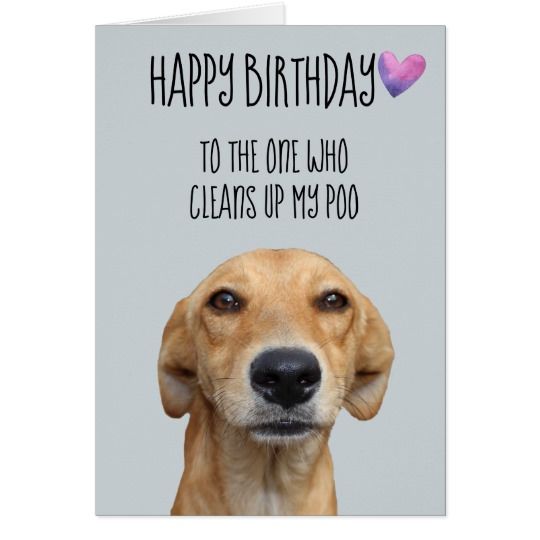 Happy Birthday My Doggo2